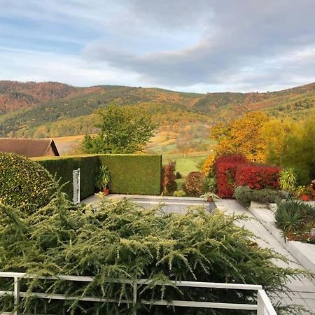 Logement de charme au coeur de la nature Osenbach Extérieur photo