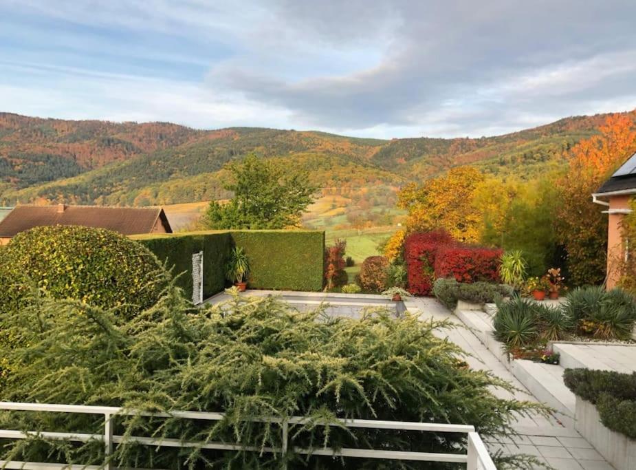 Logement de charme au coeur de la nature Osenbach Extérieur photo