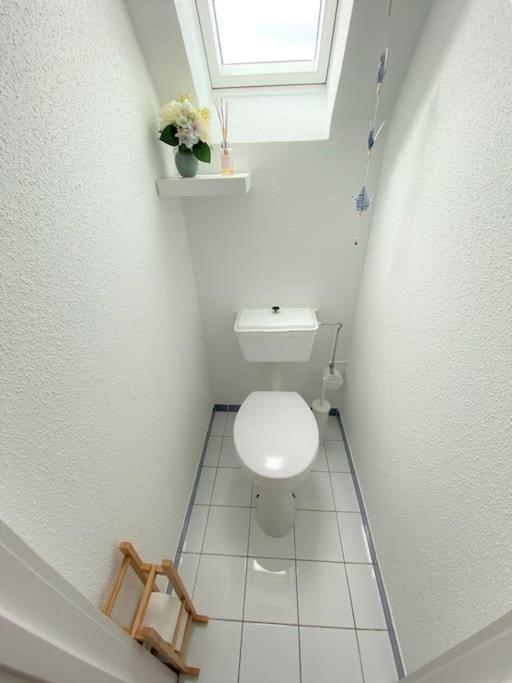 Logement de charme au coeur de la nature Osenbach Extérieur photo