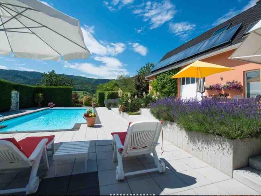 Logement de charme au coeur de la nature Osenbach Extérieur photo